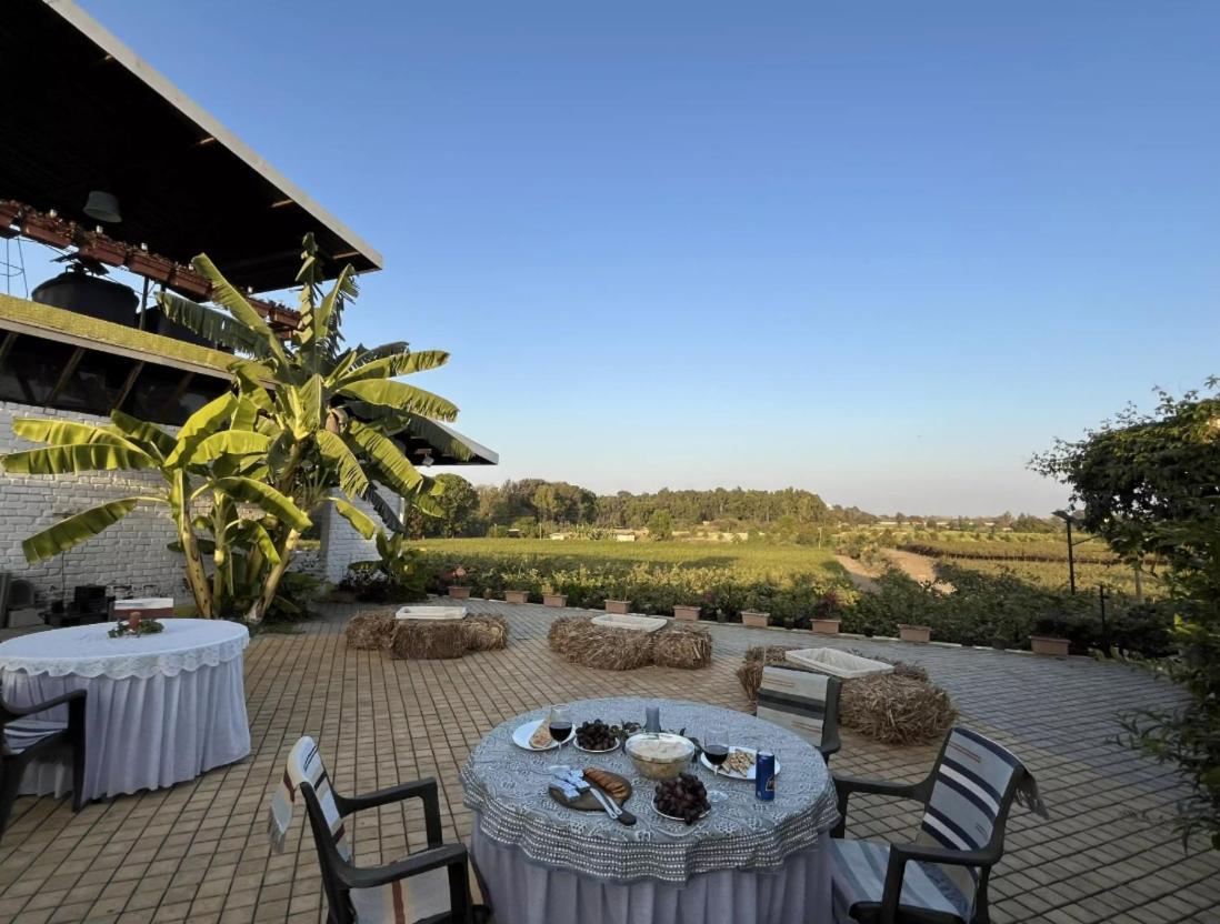 Saffronstays Onellaa, Nashik - Infinity Pool Villa Surrounded By A Vineyard Exterior photo